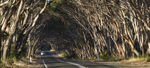 Mercure Kangaroo Island Lodge - Sunshine Coast Guide 40