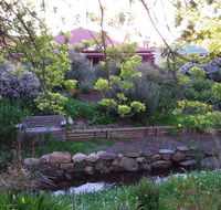 Frog Song at Willunga - Sunshine Coast Guide