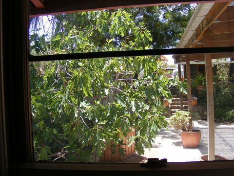 Trevalia Accommodation - Sunshine Coast Guide 4
