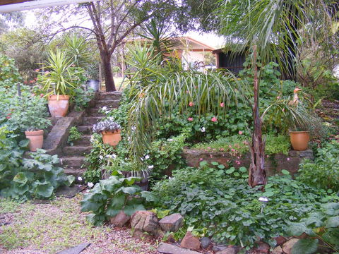 Trevalia Accommodation - Sunshine Coast Guide 12
