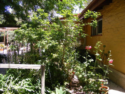 Trevalia Accommodation - Sunshine Coast Guide 7
