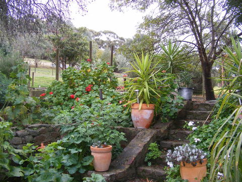 Trevalia Accommodation - Sunshine Coast Guide 13