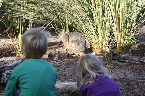 Kangaroo Island Wilderness Retreat - Sunshine Coast Guide 30