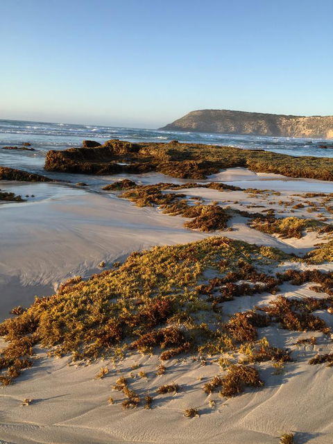 Kestrel Downs - Sunshine Coast Guide 34