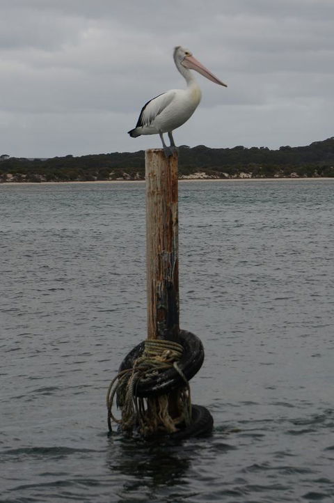 Kohinoor Getaway - Sunshine Coast Guide 13