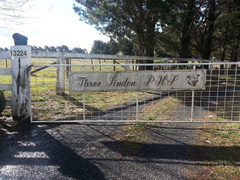 Three Linden - Sunshine Coast Guide 6