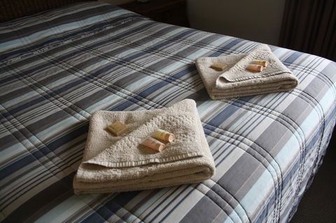 Isis Motel Scone - Sunshine Coast Guide 3