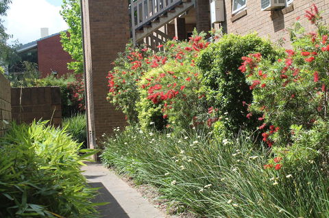 Adelaide DressCircle Apartments - Archer Street - Sunshine Coast Guide 18