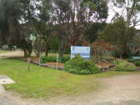 Casuarina Coastal Units