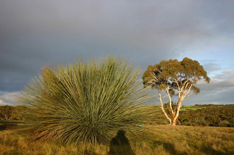 Ecopia Retreat - Sunshine Coast Guide 23