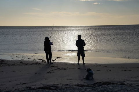 Beachside Holiday Park - Sunshine Coast Guide 18