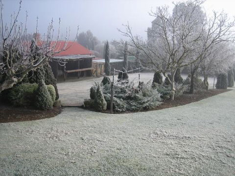 Vineyard Cottage BnB - Sunshine Coast Guide 15