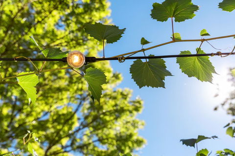 Adelaide Hills Retreats - Sunshine Coast Guide 32