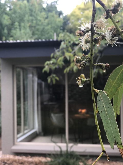 Adelaide Hills Retreats - Sunshine Coast Guide 9