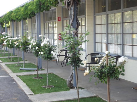 Guichen Bay Motel - Sunshine Coast Guide 38