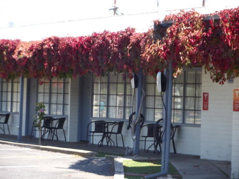 Guichen Bay Motel - Sunshine Coast Guide 23