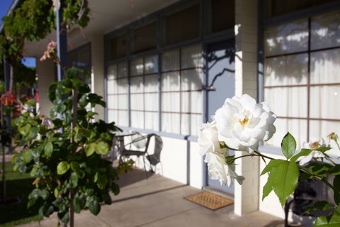 Guichen Bay Motel - Sunshine Coast Guide 33