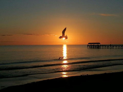 Adelaide Luxury Beach House - Sunshine Coast Guide 37