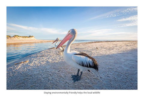 Adelaide Luxury Beach House - Sunshine Coast Guide 25
