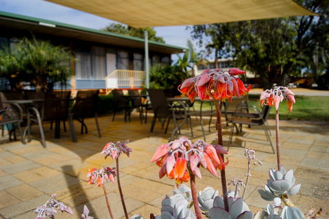 Kangaroo Island Seaview Motel - Sunshine Coast Guide 3