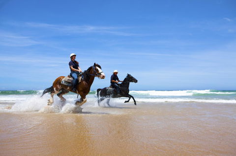 One Mile Retreat - Sunshine Coast Guide 26