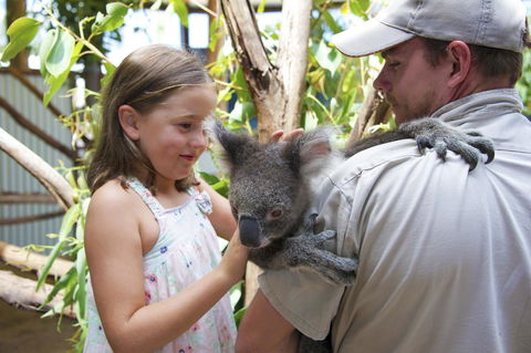 One Mile Retreat - Sunshine Coast Guide 16