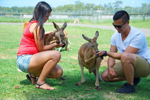 One Mile Retreat - Sunshine Coast Guide 25