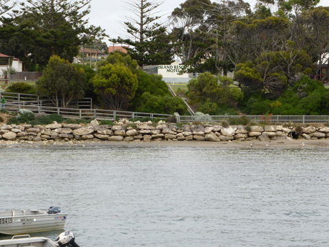 Island Motel Kingscote - Sunshine Coast Guide 4