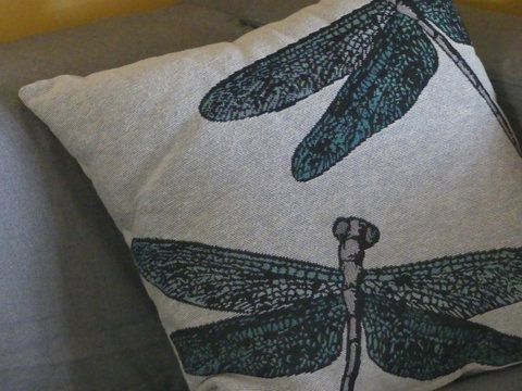 KI Dragonfly Guesthouse - Sunshine Coast Guide 43