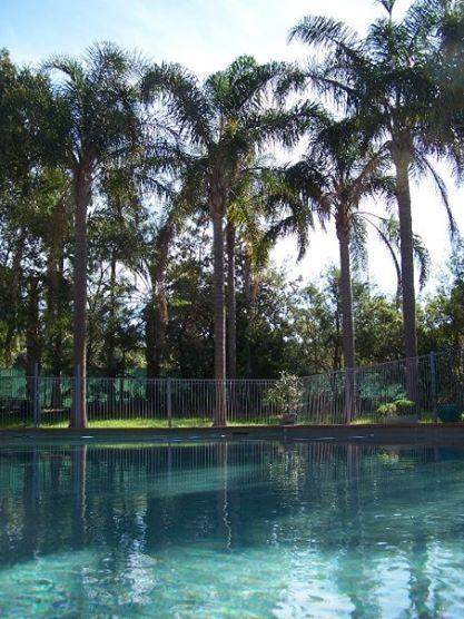 Abcot Inn - Sunshine Coast Guide 27