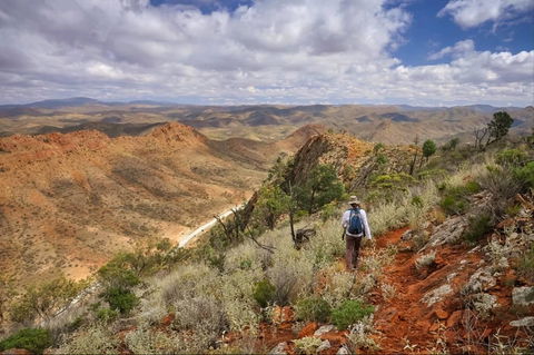 Arkaroola Wilderness Sanctuary - Sunshine Coast Guide 4
