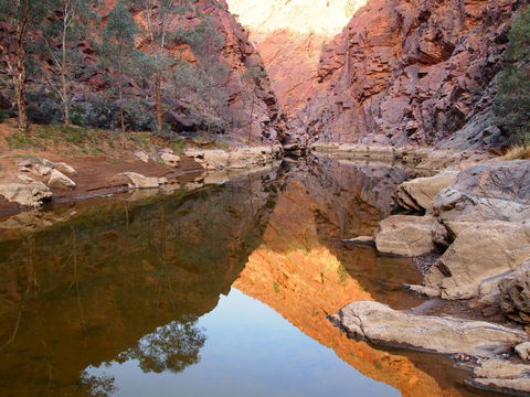 Arkaroola Wilderness Sanctuary - Sunshine Coast Guide 6