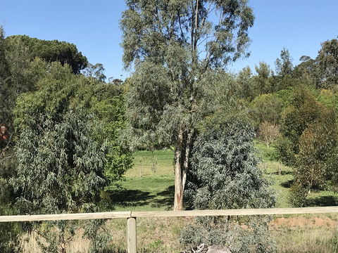 Adagio In Auburn - Sunshine Coast Guide 25