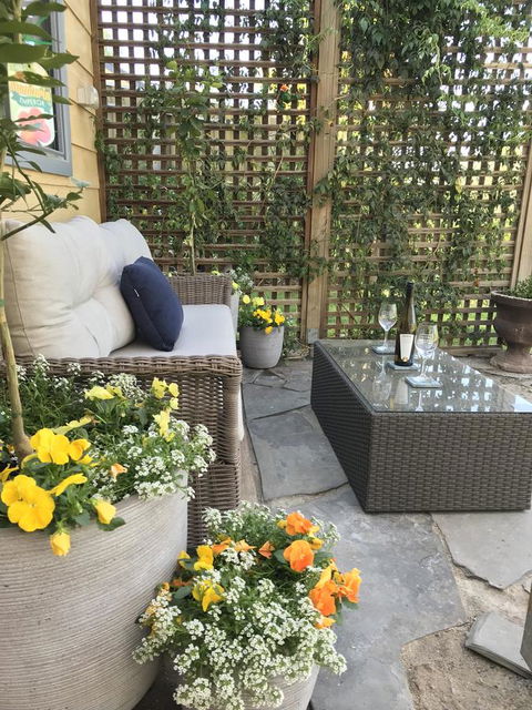 Adagio In Auburn - Sunshine Coast Guide 15