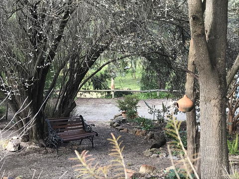 Adagio In Auburn - Sunshine Coast Guide 17