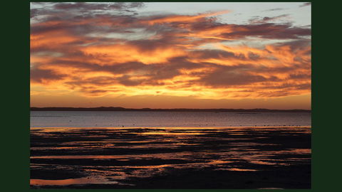 Gumnut Getaway BnB - Sunshine Coast Guide 22