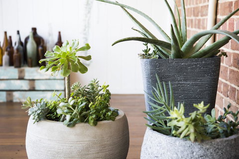 The Parkview Hotel Mudgee - Sunshine Coast Guide 35