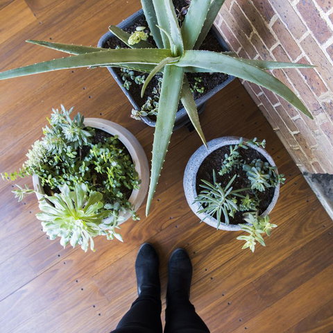 The Parkview Hotel Mudgee - Sunshine Coast Guide 33