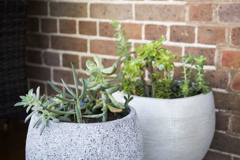 The Parkview Hotel Mudgee - Sunshine Coast Guide 34