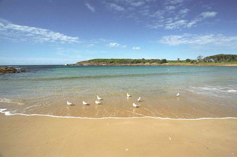 On The Beach Getaway - Sunshine Coast Guide 12