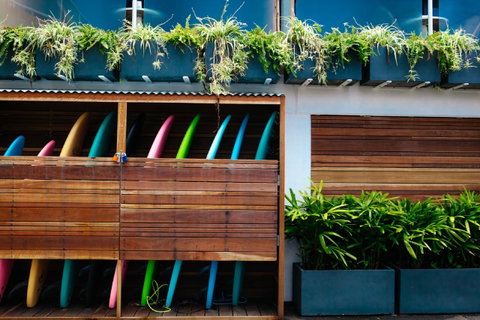 The Lord Byron - Sunshine Coast Guide 25