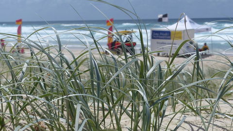 SaltBeach2302 - Sunshine Coast Guide 14