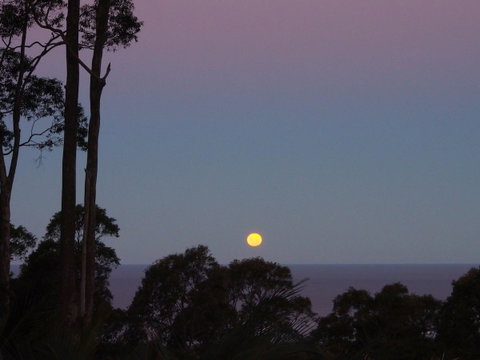 Bundle Hill Cottages - Sunshine Coast Guide 36