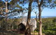 Bundle Hill Cottages - thumb 12