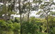 Bundle Hill Cottages - thumb 22