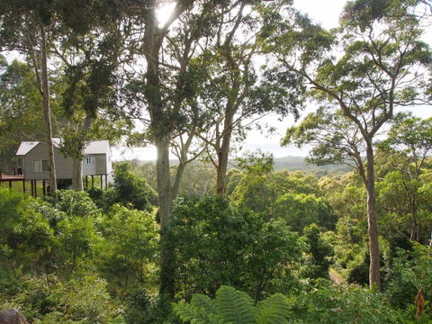 Bundle Hill Cottages - Sunshine Coast Guide 22