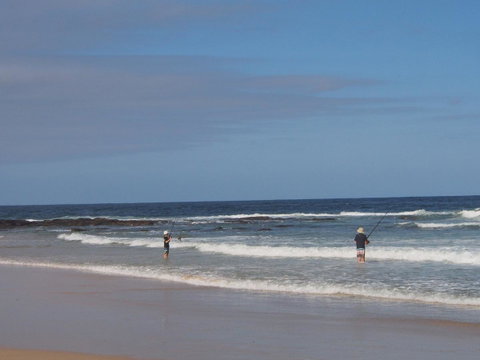 Bundle Hill Cottages - Sunshine Coast Guide 10