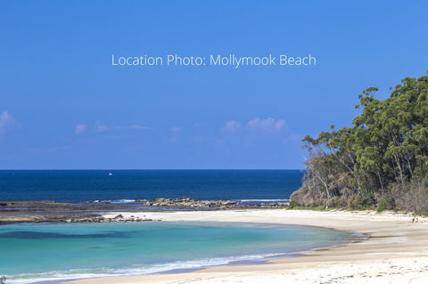 Beachfront 2 - Sunshine Coast Guide 20