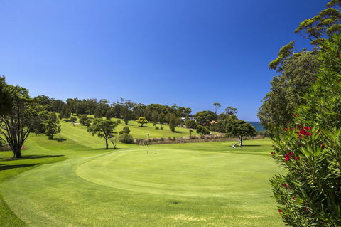 Beachfront 2 - Sunshine Coast Guide 1
