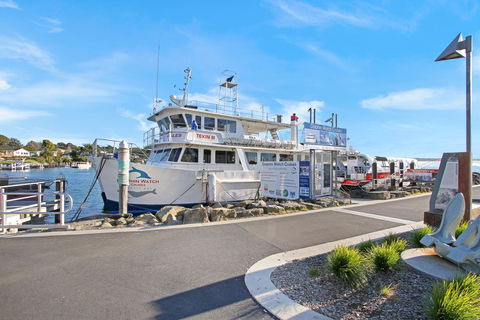 Huskisson Holiday Motel Cabins - Sunshine Coast Guide 6